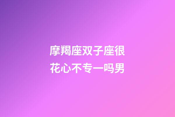 摩羯座双子座很花心不专一吗男-第1张-星座运势-玄机派