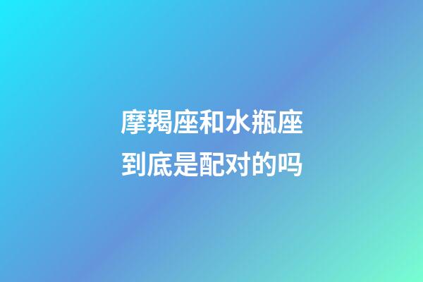 摩羯座和水瓶座到底是配对的吗-第1张-星座运势-玄机派