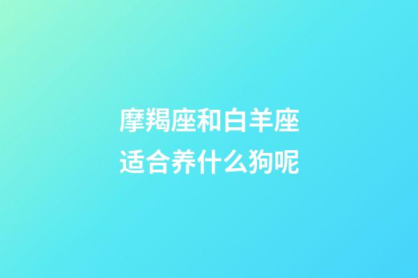 摩羯座和白羊座适合养什么狗呢-第1张-星座运势-玄机派