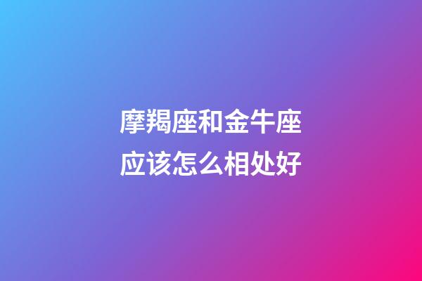摩羯座和金牛座应该怎么相处好-第1张-星座运势-玄机派