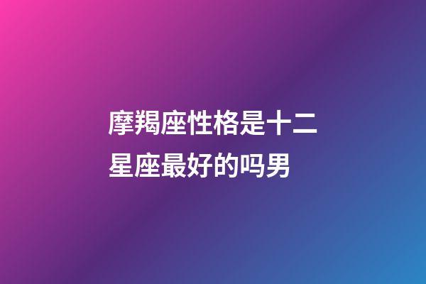 摩羯座性格是十二星座最好的吗男-第1张-星座运势-玄机派