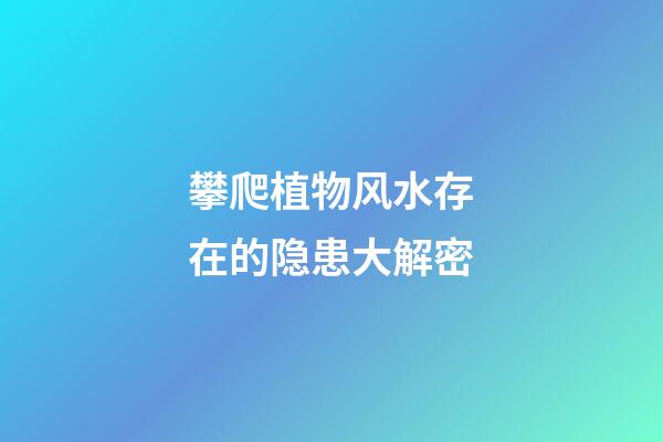 攀爬植物风水存在的隐患大解密