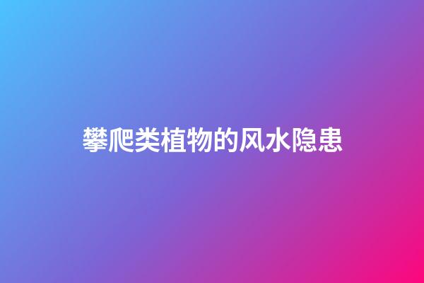攀爬类植物的风水隐患