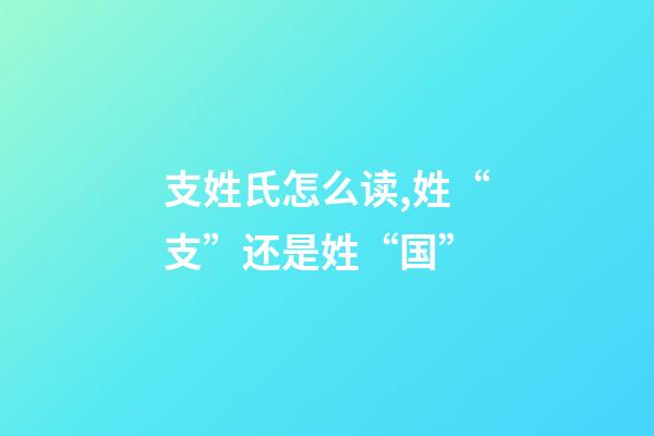 支姓氏怎么读,姓“支”还是姓“国”-第1张-观点-玄机派