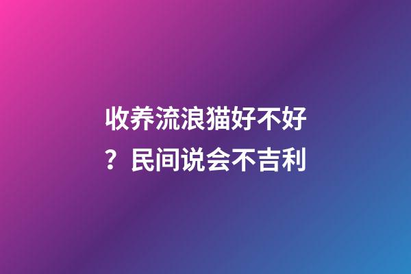 收养流浪猫好不好？民间说会不吉利