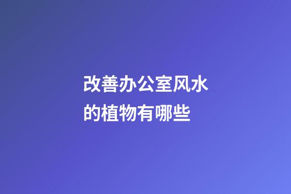 改善办公室风水的植物有哪些