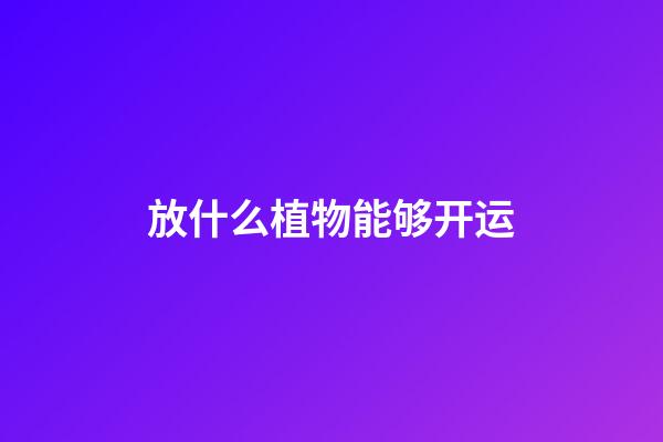 放什么植物能够开运