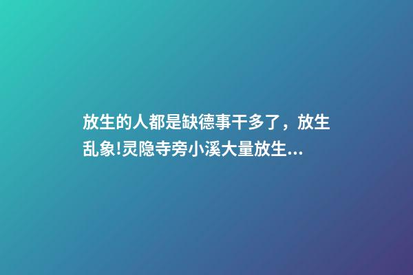放生的人都是缺德事干多了，放生乱象!灵隐寺旁小溪大量放生乌龟死亡-第1张-观点-玄机派