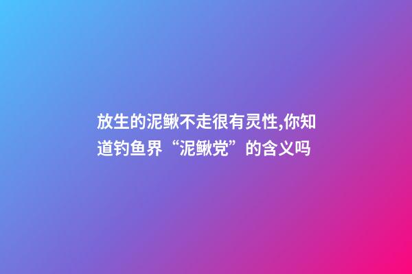 放生的泥鳅不走很有灵性,你知道钓鱼界“泥鳅党”的含义吗-第1张-观点-玄机派