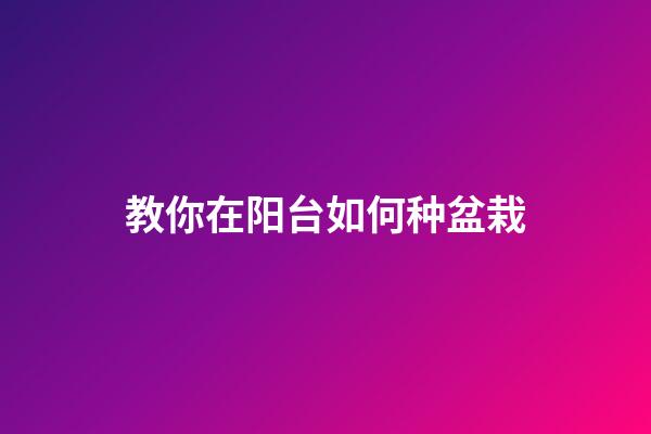 教你在阳台如何种盆栽