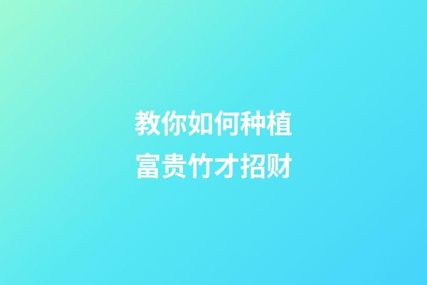 教你如何种植富贵竹才招财