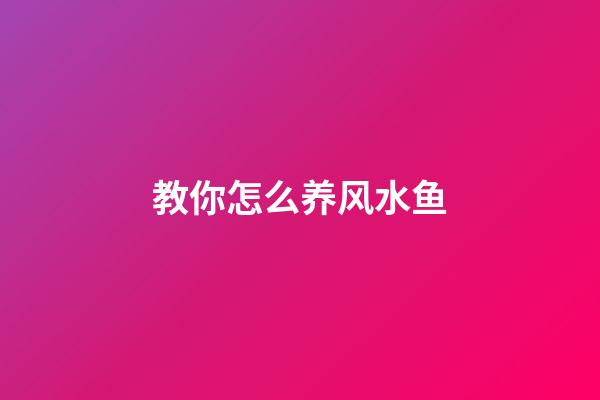 教你怎么养风水鱼