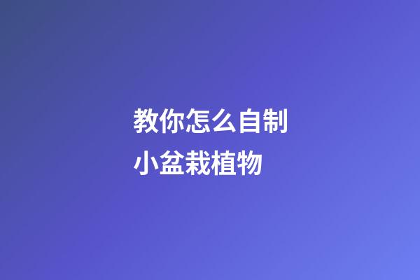 教你怎么自制小盆栽植物