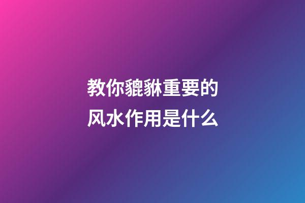 教你貔貅重要的风水作用是什么