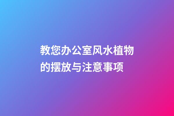 教您办公室风水植物的摆放与注意事项