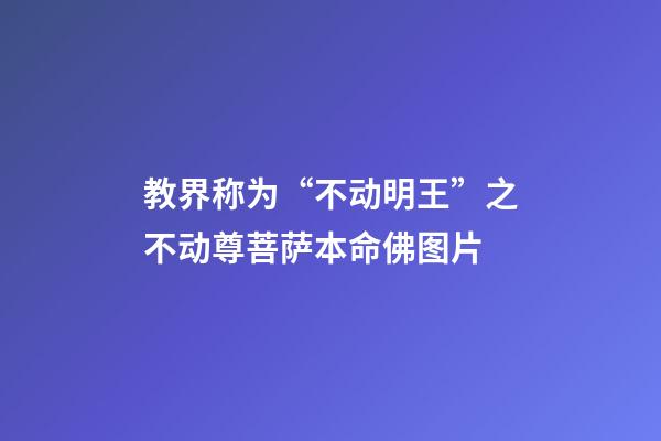 教界称为“不动明王”之不动尊菩萨本命佛图片
