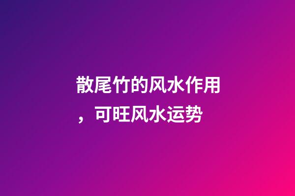 散尾竹的风水作用，可旺风水运势
