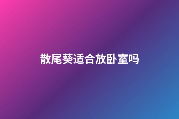 散尾葵适合放卧室吗