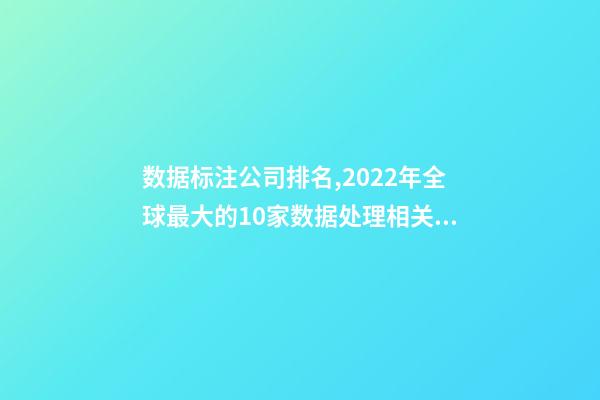 数据标注公司排名,2022年全球最大的10家数据处理相关的创业公司-第1张-观点-玄机派