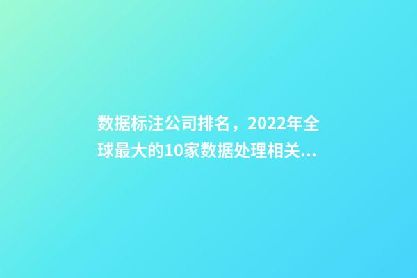 数据标注公司排名，2022年全球最大的10家数据处理相关的创业公司-第1张-观点-玄机派