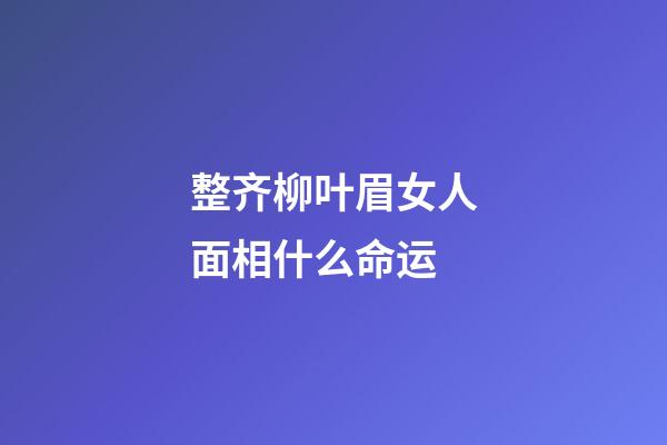 整齐柳叶眉女人面相什么命运