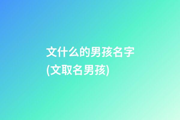 文什么的男孩名字(文取名男孩)