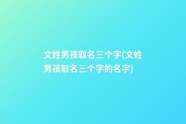 文姓男孩取名三个字(文姓男孩取名三个字的名字)