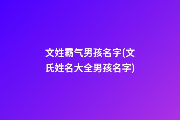文姓霸气男孩名字(文氏姓名大全男孩名字)