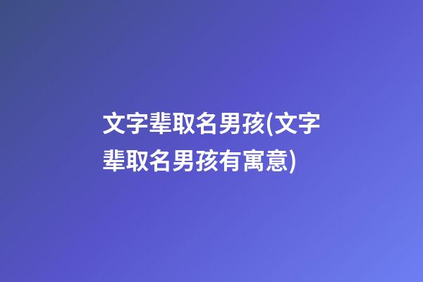 文字辈取名男孩(文字辈取名男孩有寓意)