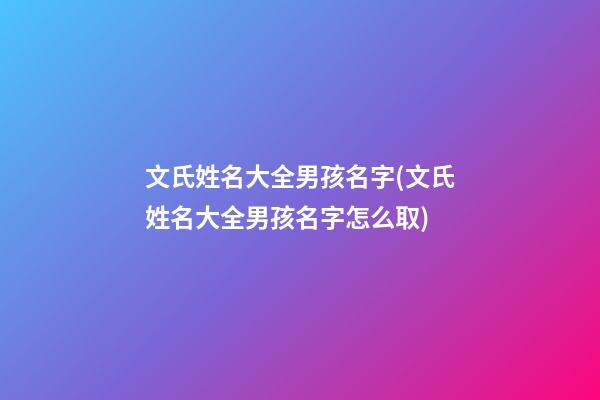 文氏姓名大全男孩名字(文氏姓名大全男孩名字怎么取)