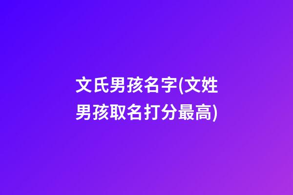 文氏男孩名字(文姓男孩取名打分最高)