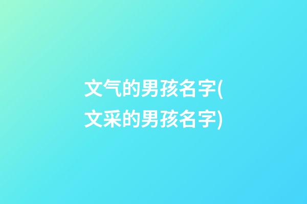 文气的男孩名字(文采的男孩名字)