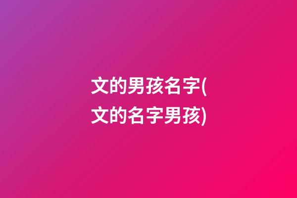 文的男孩名字(文的名字男孩)
