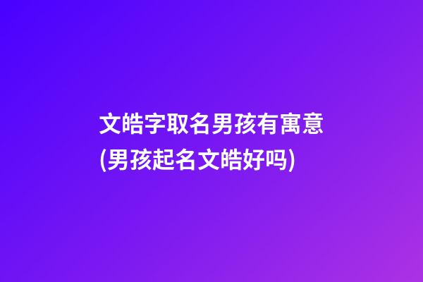 文皓字取名男孩有寓意(男孩起名文皓好吗)