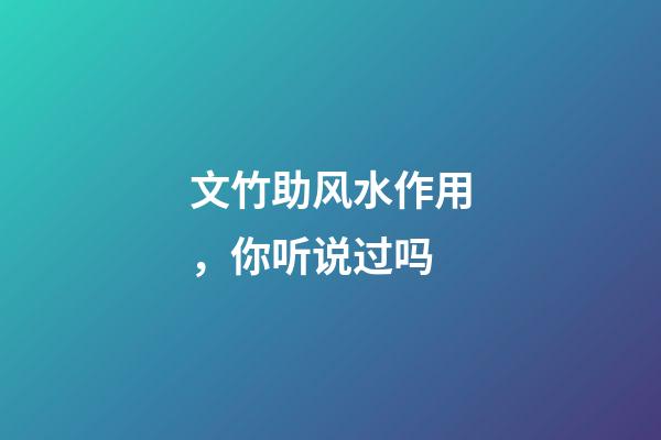 文竹助风水作用，你听说过吗