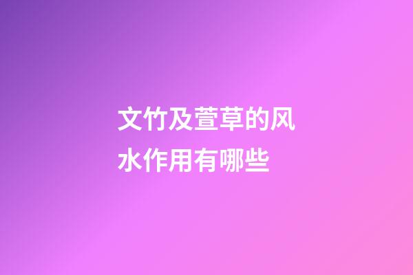 文竹及萱草的风水作用有哪些?