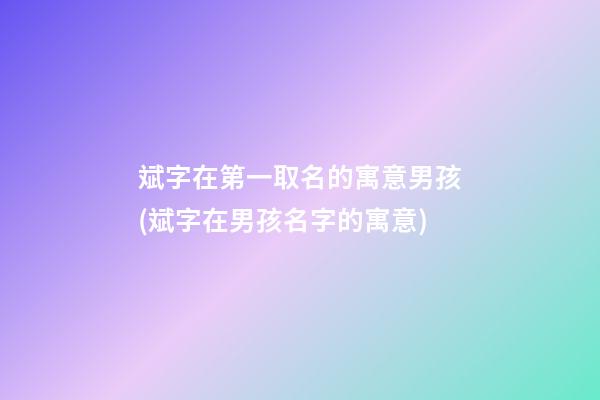斌字在第一取名的寓意男孩(斌字在男孩名字的寓意)