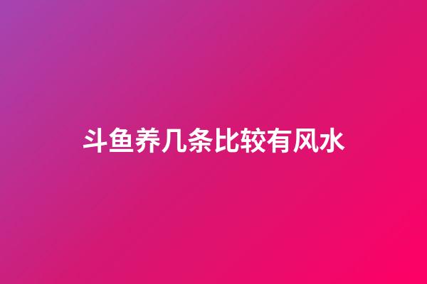 斗鱼养几条比较有风水