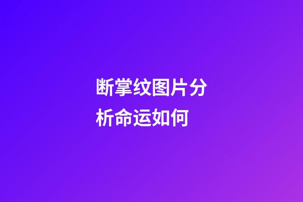 断掌纹图片分析命运如何
