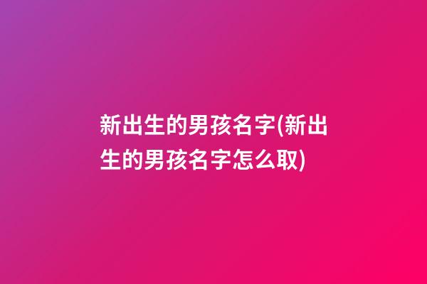 新出生的男孩名字(新出生的男孩名字怎么取)