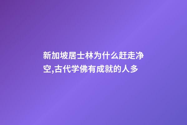 新加坡居士林为什么赶走净空,古代学佛有成就的人多-第1张-观点-玄机派