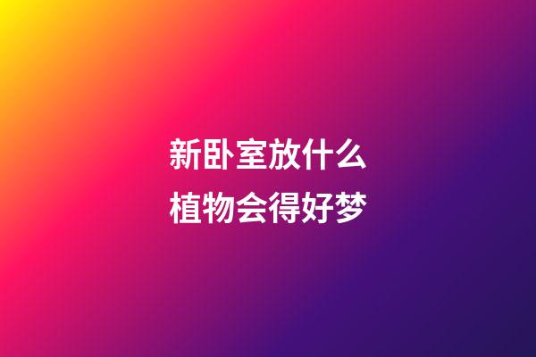 新卧室放什么植物会得好梦