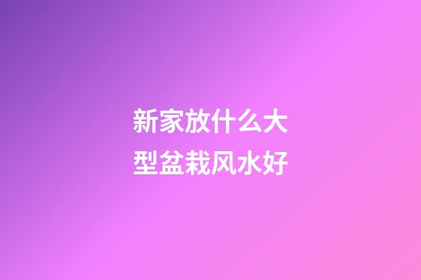 新家放什么大型盆栽风水好