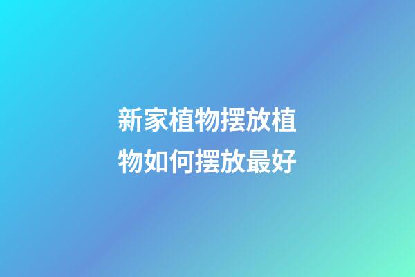 新家植物摆放植物如何摆放最好