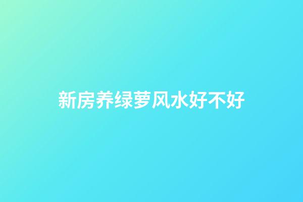 新房养绿萝风水好不好
