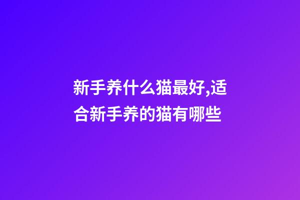 新手养什么猫最好,适合新手养的猫有哪些-第1张-观点-玄机派
