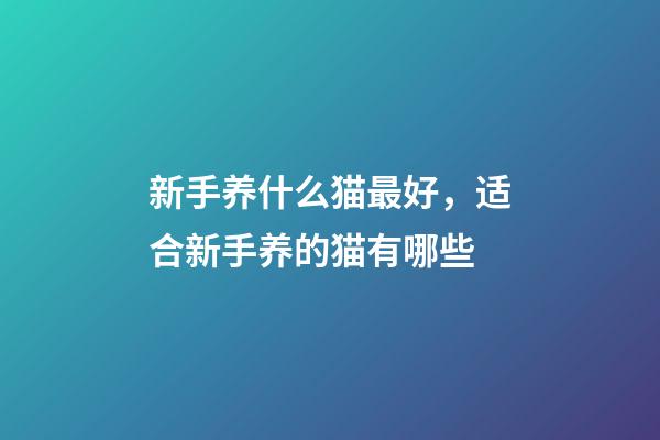 新手养什么猫最好，适合新手养的猫有哪些-第1张-观点-玄机派