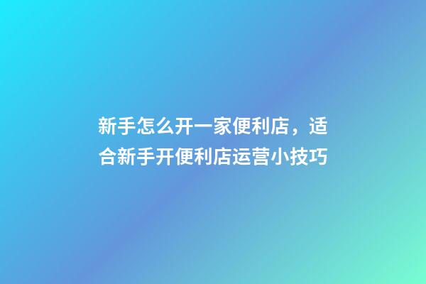 新手怎么开一家便利店，适合新手开便利店运营小技巧-第1张-观点-玄机派