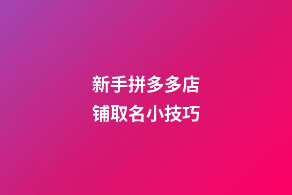 新手拼多多店铺取名小技巧-第1张-店铺起名-玄机派