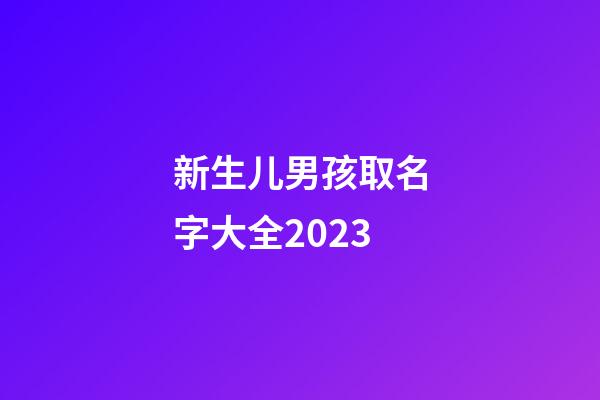 新生儿男孩取名字大全2023